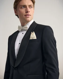 Classic Occasion Silk Pocket Square