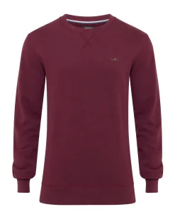 Leo Organic Cotton Sweatshirt