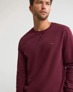 Leo Organic Cotton Sweatshirt
